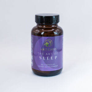 The Art of Sleep