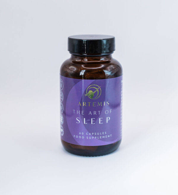 The Art of Sleep