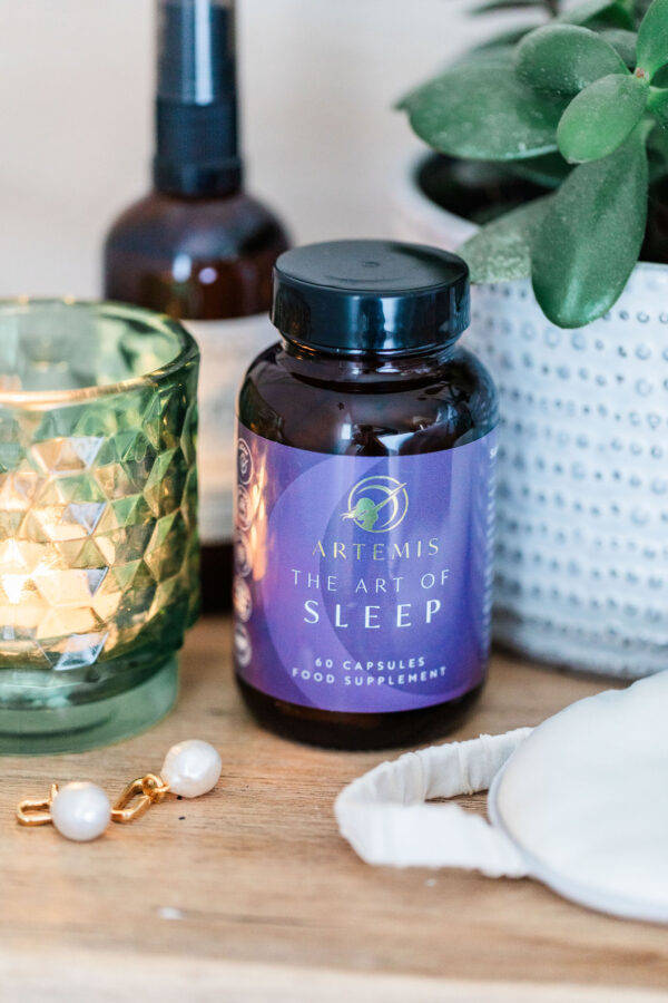 The Art of Sleep - Image 4