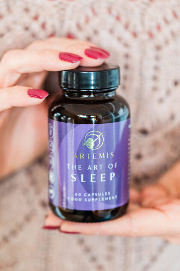 The Art of Sleep - Image 3