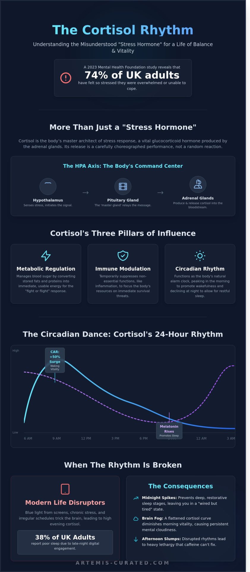 Cortisol: Curating the Rhythm of Inner Harmony and Vitality